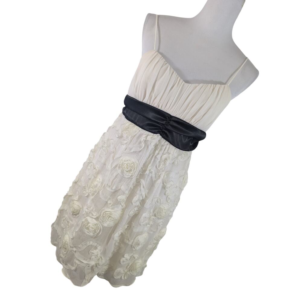 SWEET STORM! CREAM & BLACK CHIFFON & SATIN, RIBBON EMBROIDERED SHIMMER DRESS! L